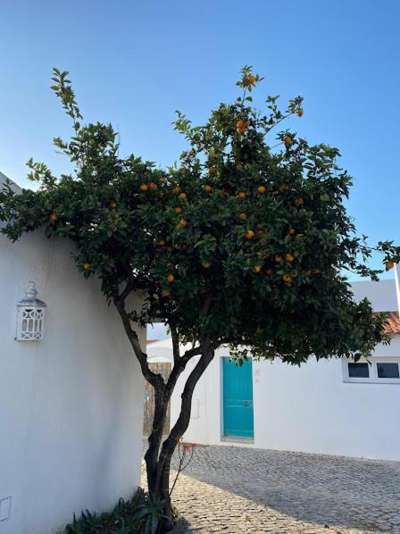 Cozy Summer House Alvor Exterior photo